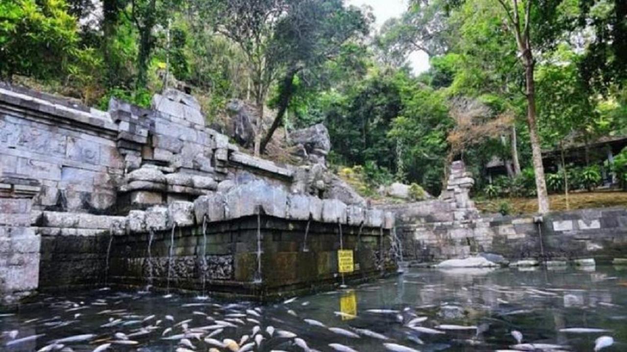Mojokerto Welirang Forest Pacetヴィラ エクステリア 写真